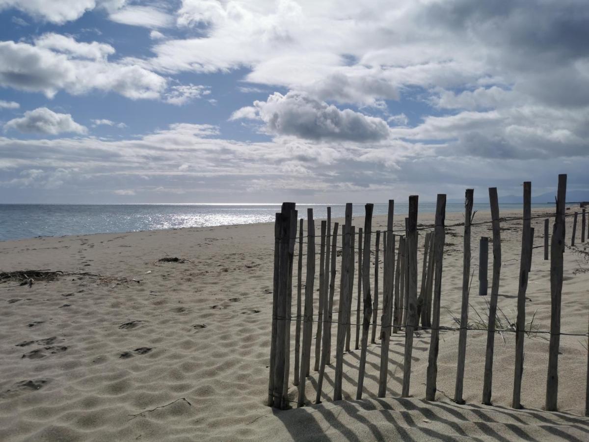 Apartament Les Marines III - Tout Confort - Tout Equipe - En Bord De Mer - Avec Jardin - Proche Commerces Et Animations Le Barcarès Zewnętrze zdjęcie